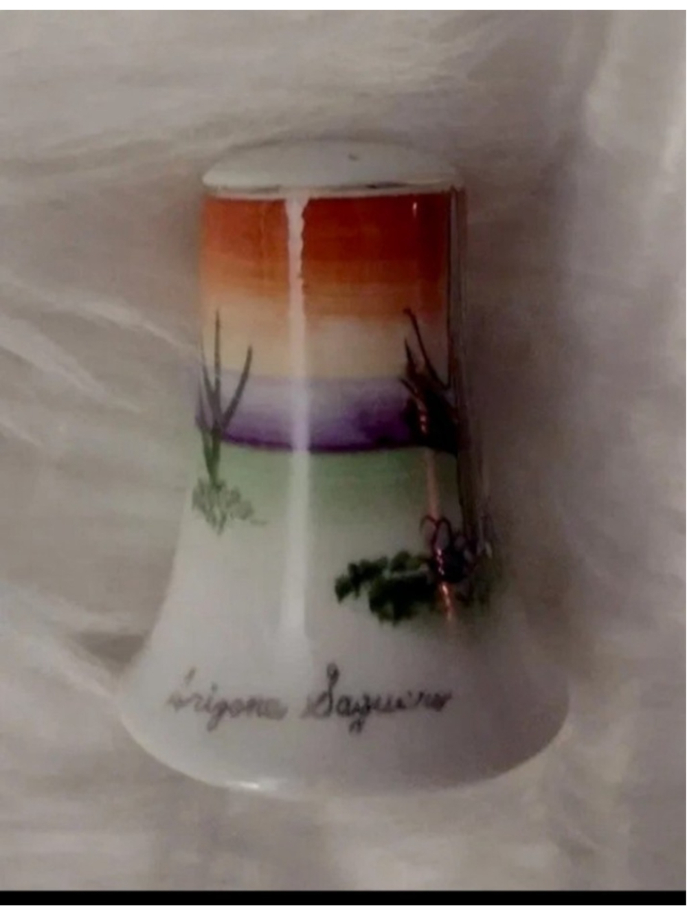Southwest pepper shaker Arizona